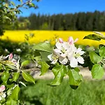 Bausenberg