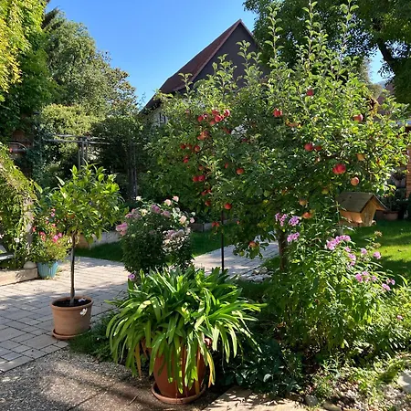 Bausenberg *