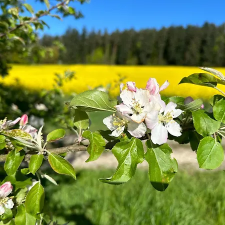 Bausenberg